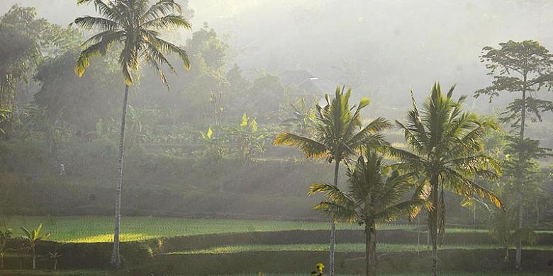 Panorama alam di kawasan yang dijuluki Ubud-nya Lombok di Tetebatu, Kecamatan Sikur, Kabupaten Lombok Timur1
